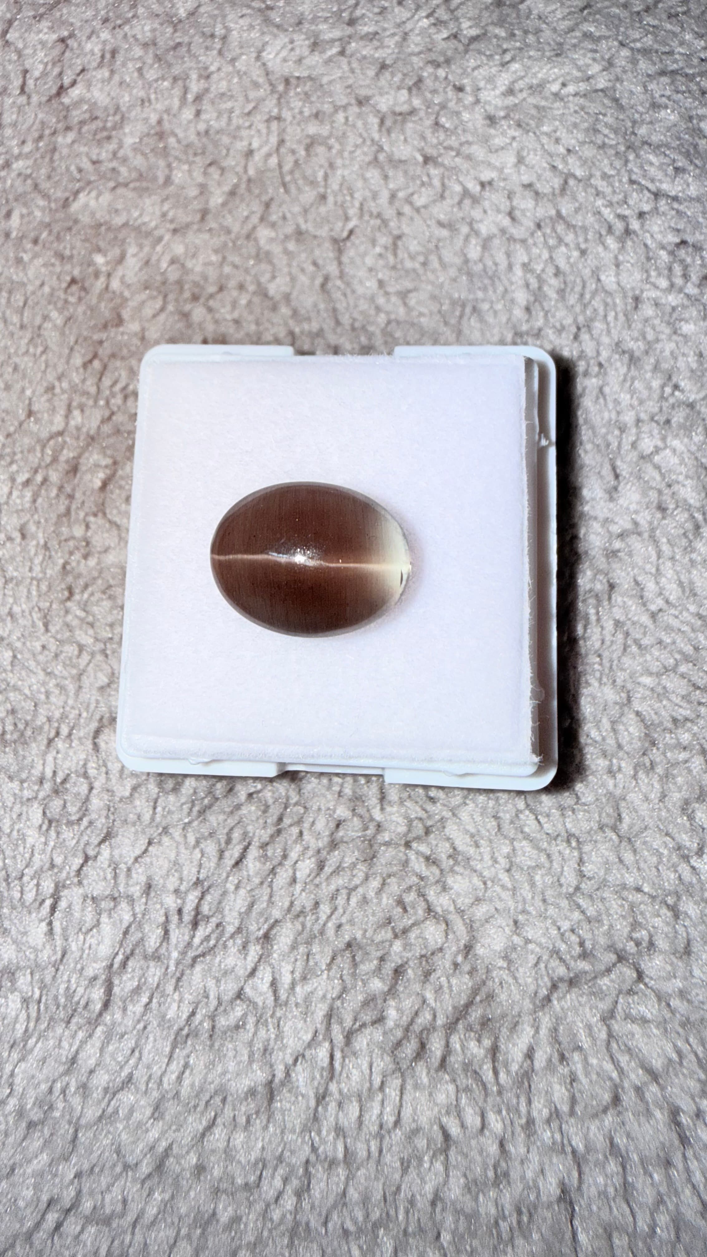 Blackish Cat's Eye Sillimanite