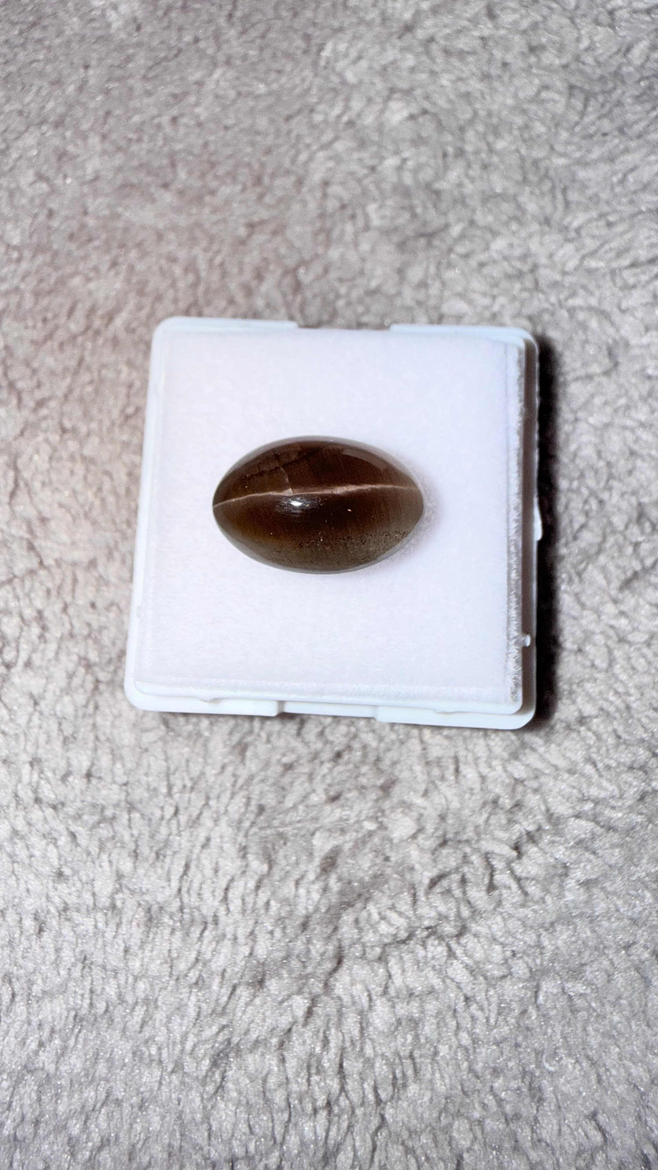 Blackish Cat's Eye Sillimanite