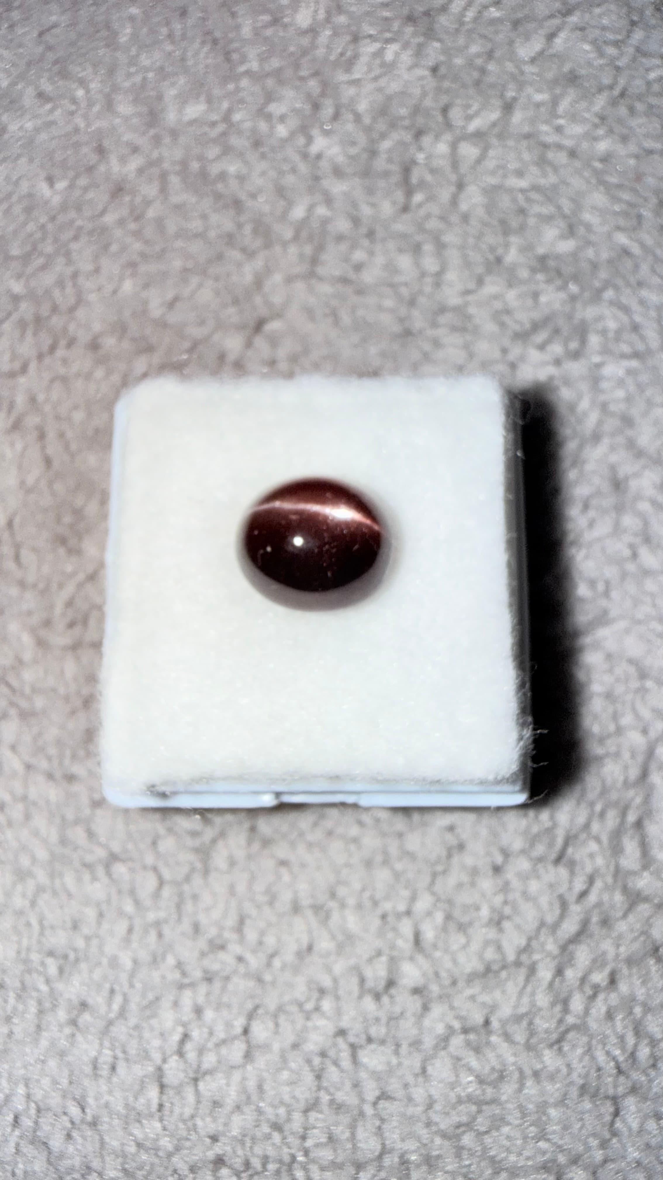 Reddish Cat's Eye Sillimanite