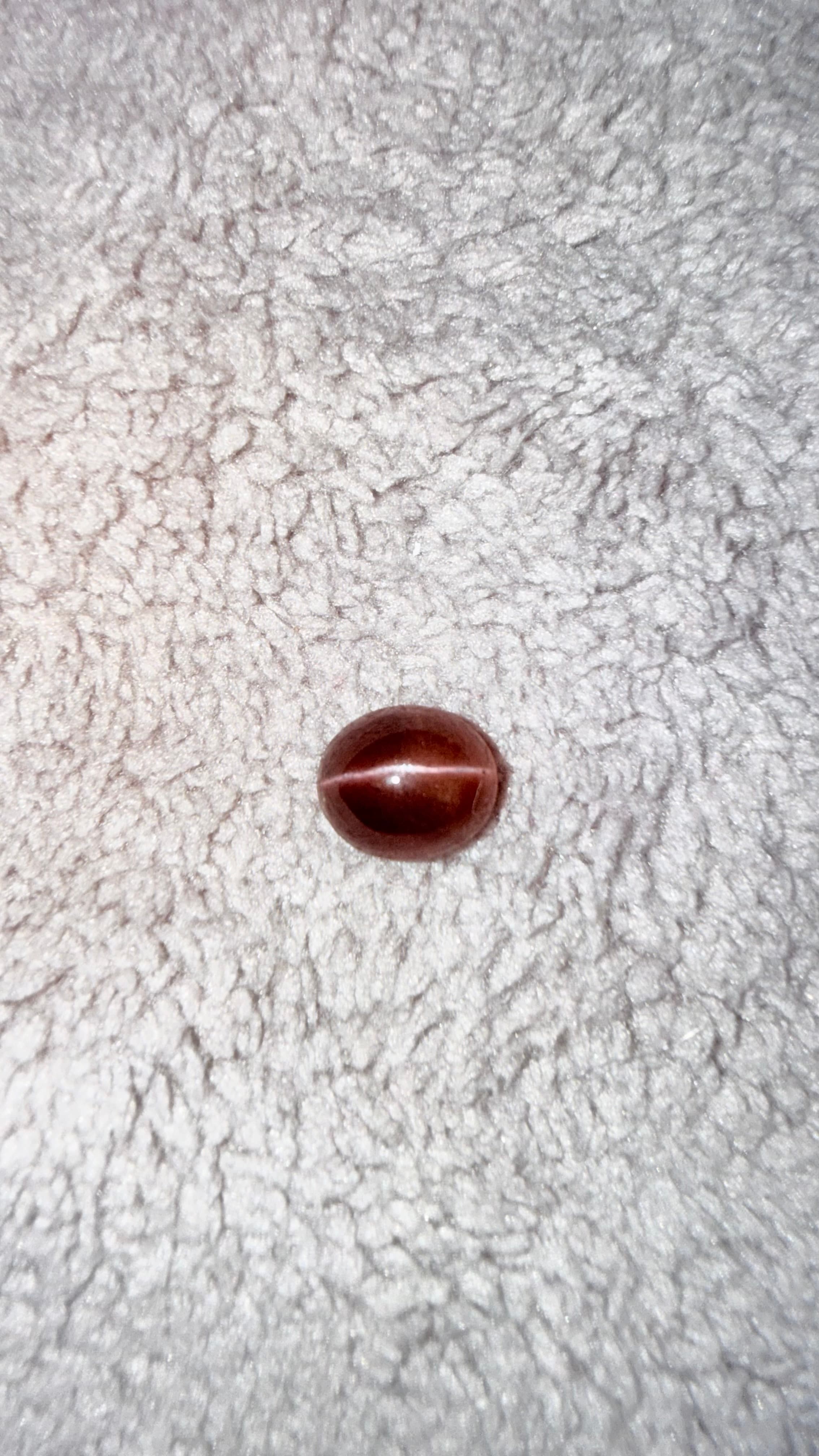 Reddish Cat's Eye Sillimanite