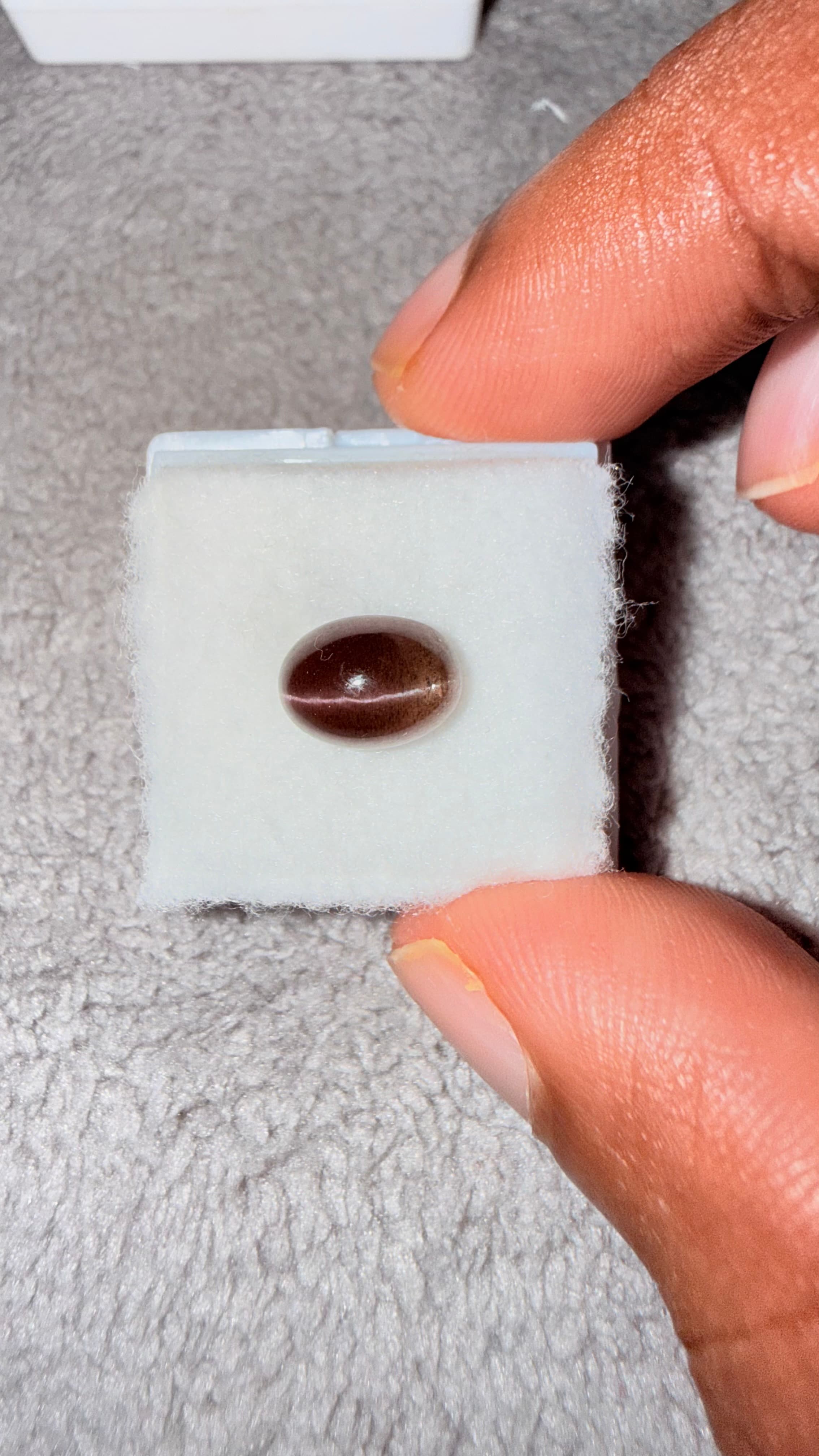 Reddish Cat's Eye Sillimanite